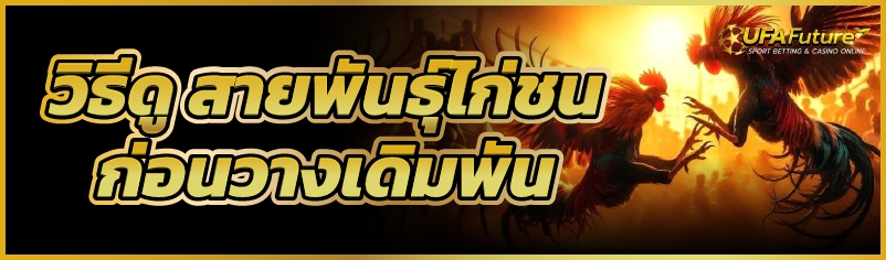 สายพันธุ์ไก่ชน